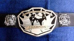 Lasergravur Laseraluminium Boxergrtel